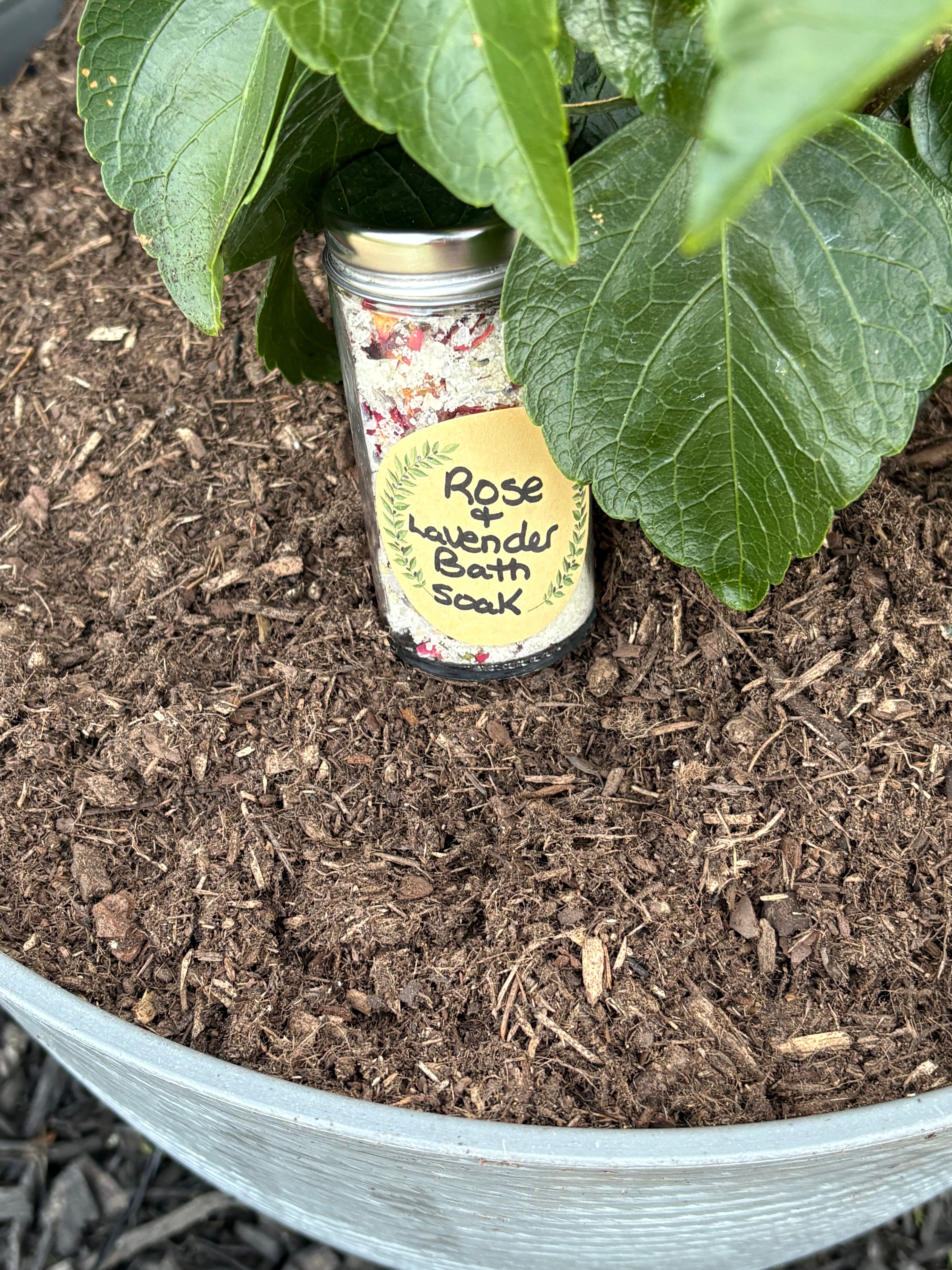 Rose and lavender bath soak