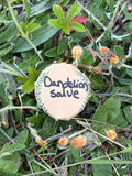 Dandelion salve